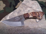 Fox N Hound Wide Blade 6" Fixed Skinner Knife W/ Stag & Wood Handle - 620