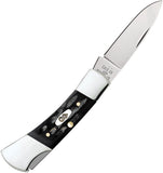 Case Cutlery Lockback Black Jigged Buffalo Horn Folding Stainless Pocket Knife 65031