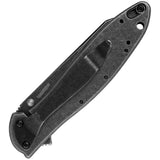 Kershaw Random Leek Framelock A/O Folding Knife 1660rbw