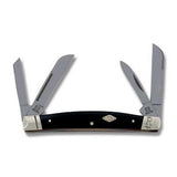 Rough Rider Titanium Series Congress Black Smooth Bone Folding Pocket Knife 1787