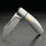 Begg Knives Sheepsfoot Mini Slip Joint Stainless & Brass Folding 14C28N Pocket Knife 046