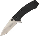 Kershaw Cryo G-10 Knife A/O Flipper Folding Pocket  - 1555G10