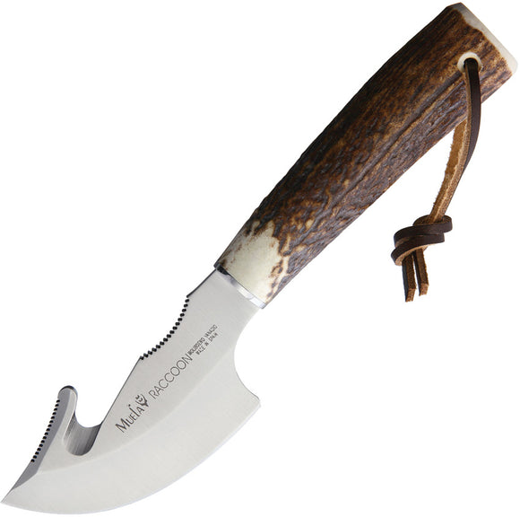 Muela Raccoon 8A Fixed Blade Stag Knife 90723