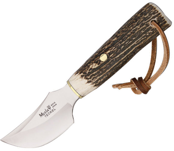 Muela Teckel Stag Handle Stainless Fixed Knife w/ Leather Belt Sheath 90852