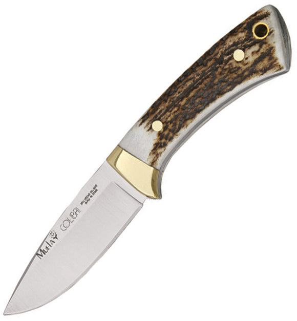 Muela Colibri Stag Handle 440C Stainless Fixed Knife w/ Brown Belt Sheath 92340