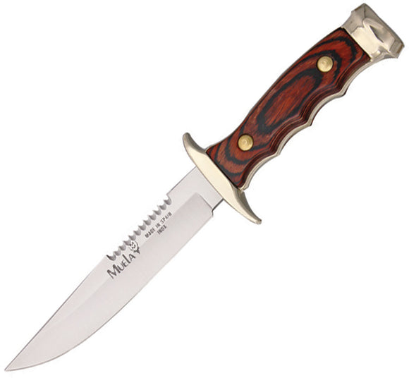 Muela Small Hunter Sawback Pakkawood Handle Stainless Knife w/ Belt Sheath 98020