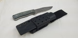 QSP BISON Blue Denim Jean Micarta D2 Fixed Blade Knife + Kydex 134B