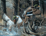 Ducks Unlimited Beaver Pond Duck Hunting Man Cave Metal Tin Sign 1204