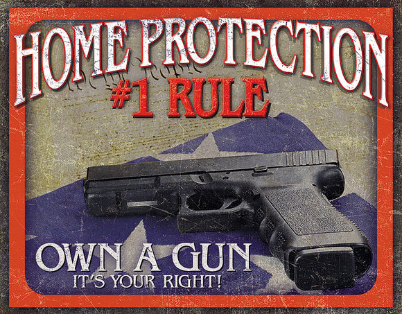 Home Protection #1 Rule Own a Gun 2nd Amendment Right Metal Tin Sign 2130