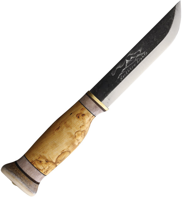 Wood Jewel Northern Lights Curly Birch Wood Carbon Steel Fixed Blade Knife 23NL