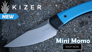 Kizer Mini Momo