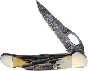 Bear & Son Lockback India Stag Bone Folding Damascus Steel Pocket Knife 5149LD