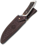 Boker Arbolito Torito HX Stag ACX 390 Steel Drop Point Fixed Blade Knife w/ Sheath 02BA593HX