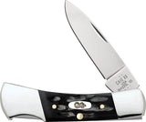 Case Cutlery Lockback Black Jigged Buffalo Horn Folding Stainless Pocket Knife 65031