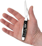 Case Cutlery Muskrat Jigged Buffalo Horn Folding Stainless Pocket Knife 65032