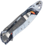 Kershaw Leek Linerlock A/O Hawk Aluminum Folding 14C28N Pocket Knife 1660HAWK