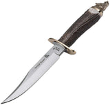 Muela Wildboar Bowie Stag MoVa Stainless Fixed Blade Knife w/ Sheath U092
