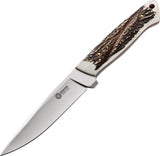 Boker 9.5" Arbolito Relincho Cuerno Stag Handle Fixed Blade Knife