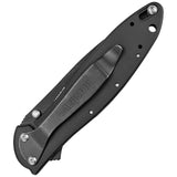 Kershaw Leek Framelock A/O Assisted Black Tungsten 14C28N Folding Knife