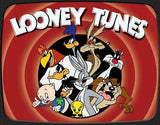 Looney Tunes Family Cartoon Characters Metal Tin Sign 2178