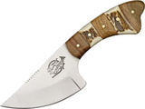 Fox N Hound Wide Blade 6" Fixed Skinner Knife W/ Stag & Wood Handle - 620