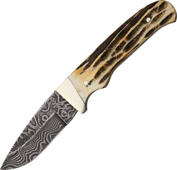 Bear & Son Skinner Genuine Stag Bone Damascus Drop Point Fixed Blade Knife 548D