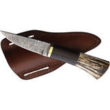 BenJahmin Knives Stag & Wood & Brass Damascus Steel Fixed Blade Knife 022