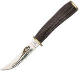 Case XX Buffalo Horn Handle Stainless Fixed Pheasant Hunter Blade Knife 17917