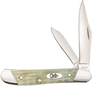 Case Cutlery Peanut Mint Green Slanted Folding Pocket Knife 18663