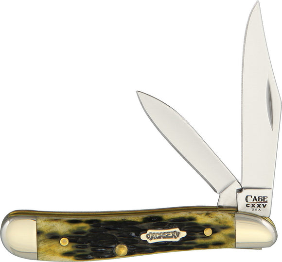 Case XX Peanut Olive Jigged Bone Handle 125th Stainless Folding Knife C18801