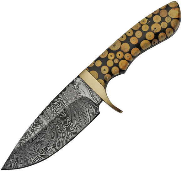 Damascus Steel Blade Knotted Wood Handle Fixed Knife 1210