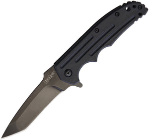 Kershaw Groove Flipper Linerlock A/O Folding Knife 1713T