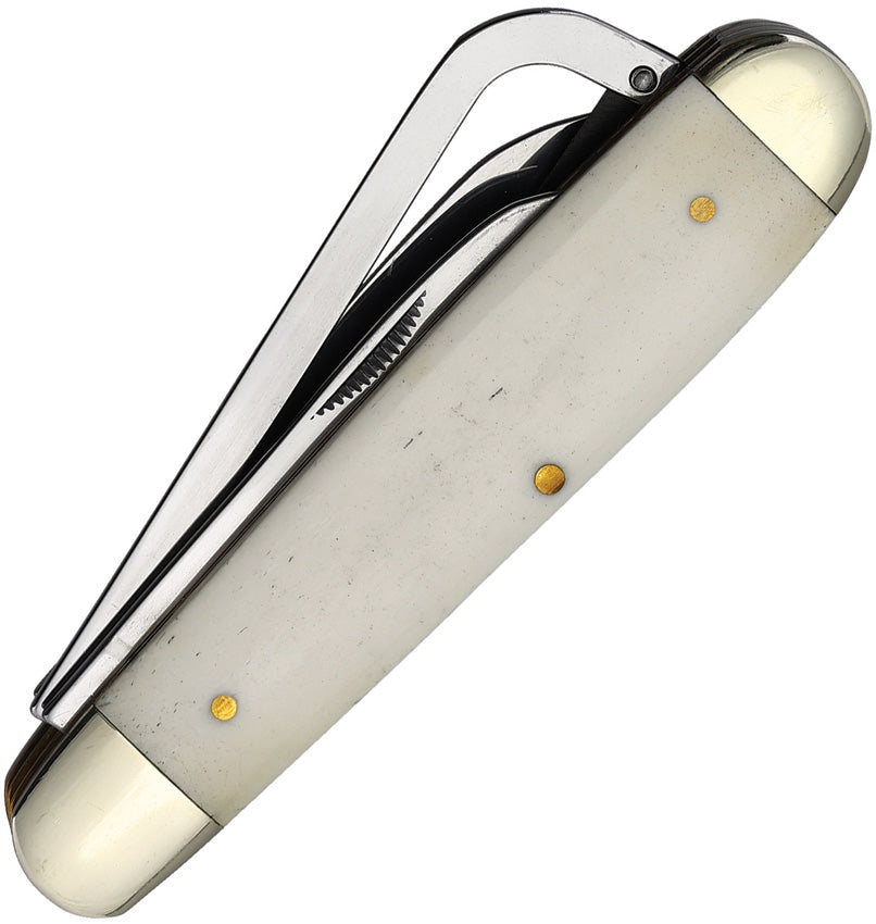 Queen Gamecock White Smooth Bone Folding Stainless Pocket Knife