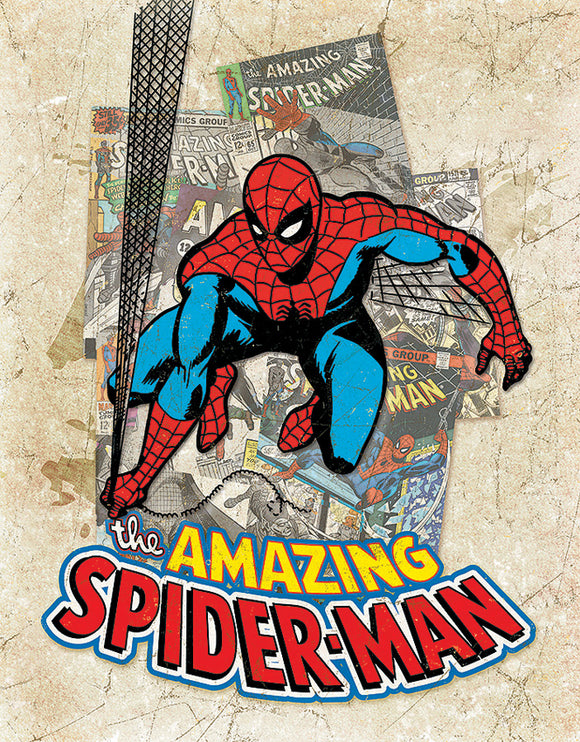 The Amazing Spider-Man Comic Book Cover Spalsh Metal Tin Sign 2210